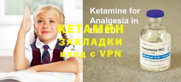 сатива Верея