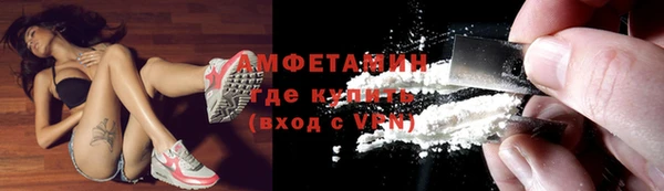 сатива Верея
