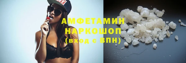сатива Верея