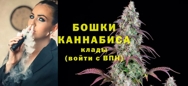 сатива Верея