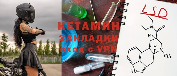 сатива Верея