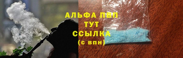 сатива Верея
