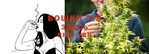 сатива Верея
