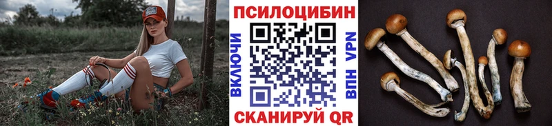 Галлюциногенные грибы MAGIC MUSHROOMS Гагарин